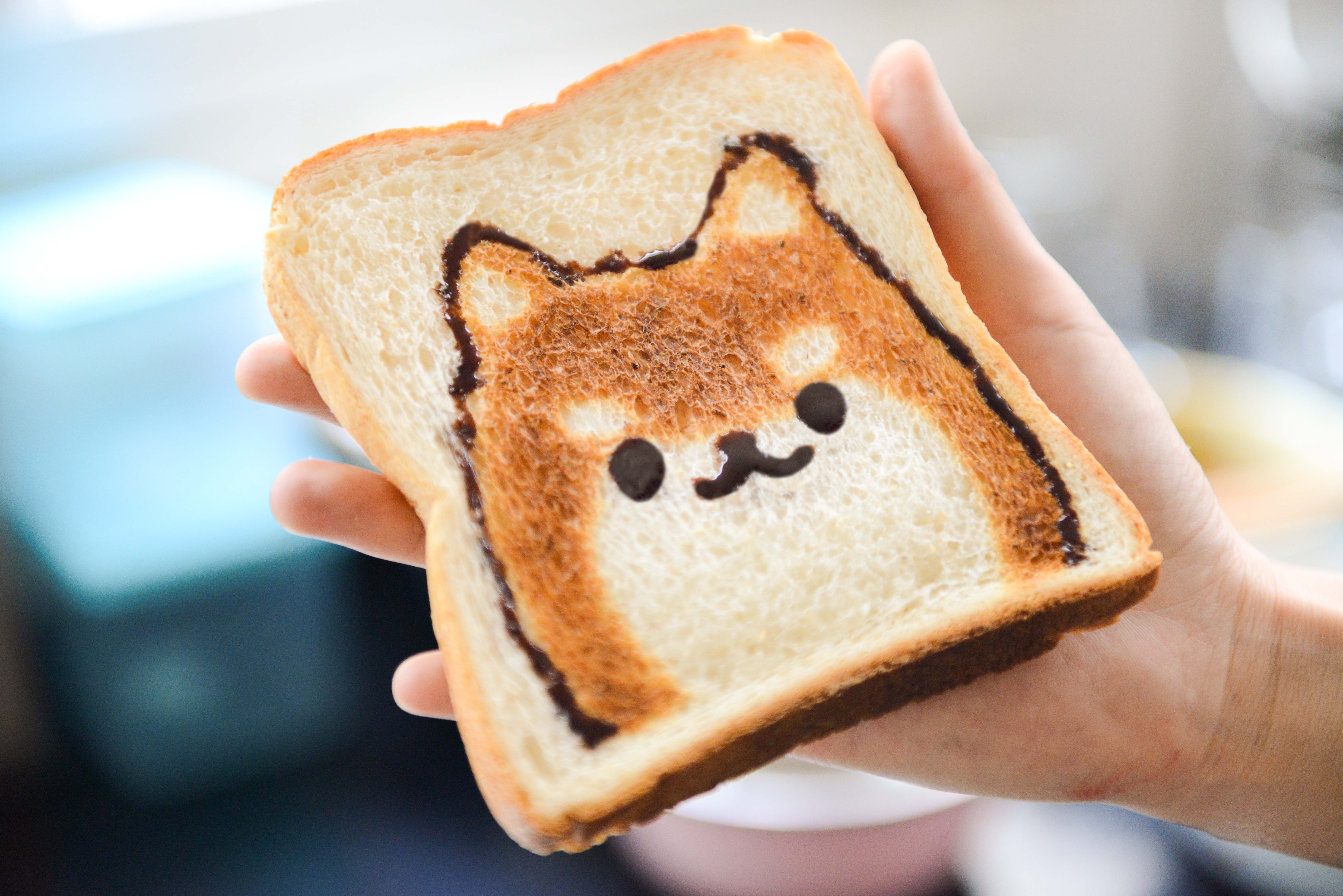 dog toast